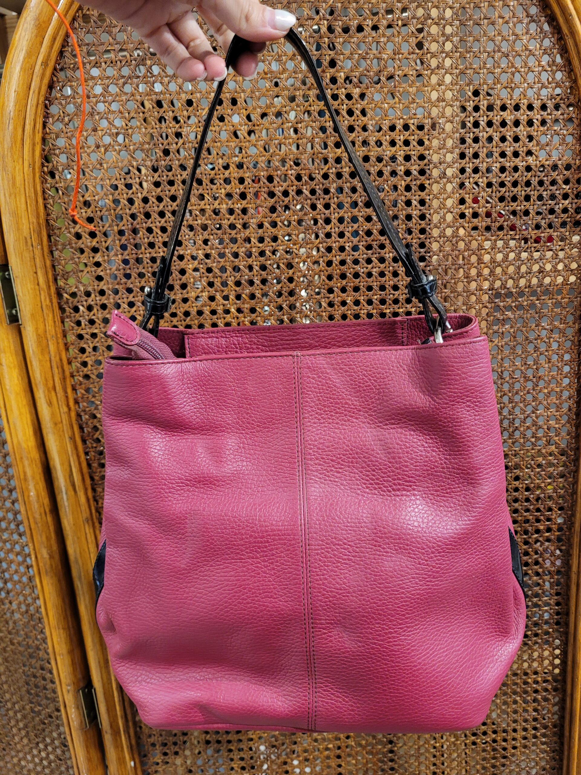 CARTERA PRUNE